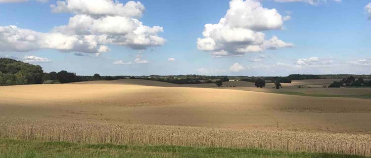 Ackerland – Worauf ist zu achten?